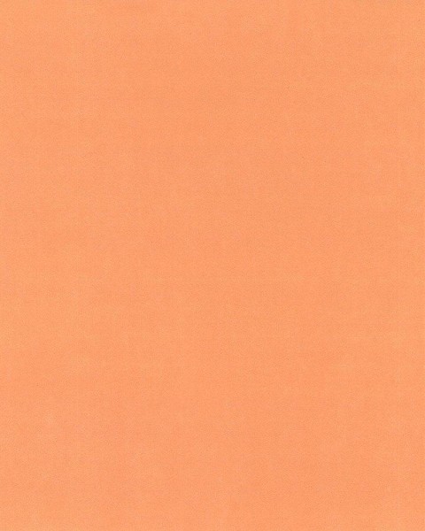 Hattan Palette | 17 Daidai